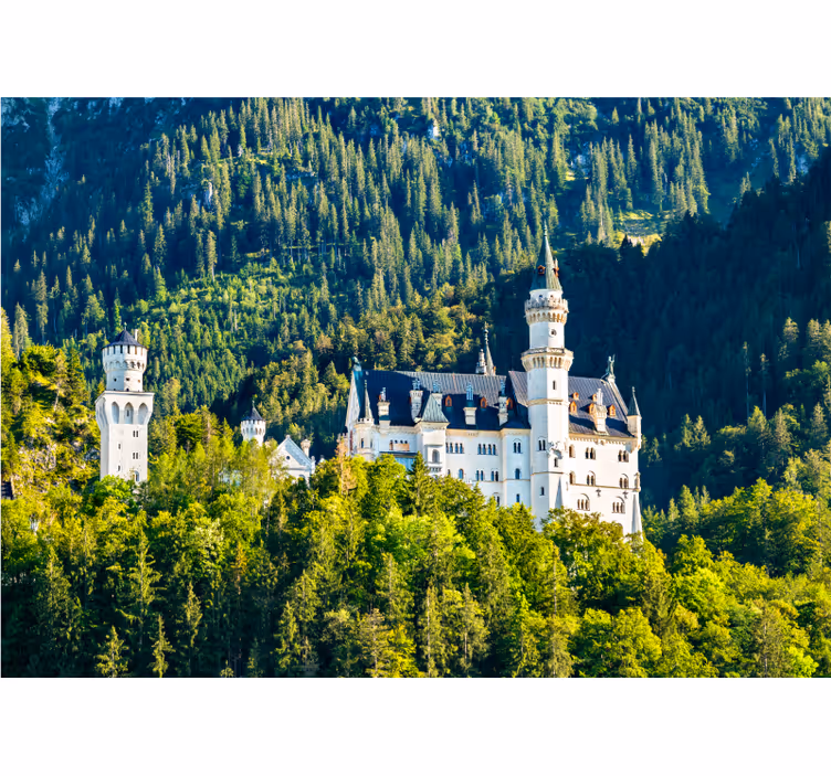 Wall mural city neuschwanstein castle view - TenStickers