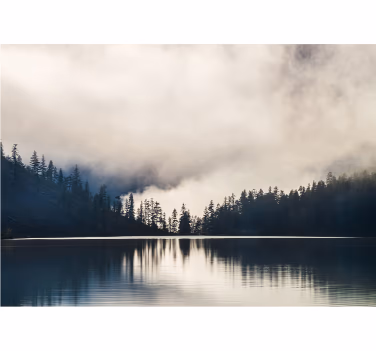 Misty Woodland Reflection landscape wall mural - TenStickers
