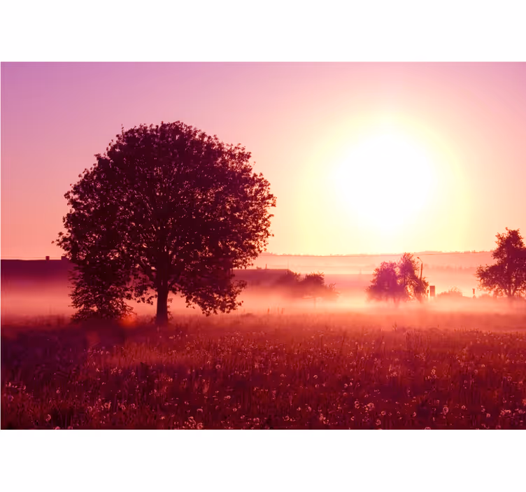 Nature wall mural silhouetted tree at sunset - TenStickers