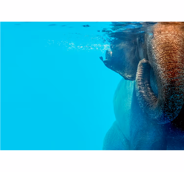 Majestic Underwater Elephant wall mural animals - TenStickers