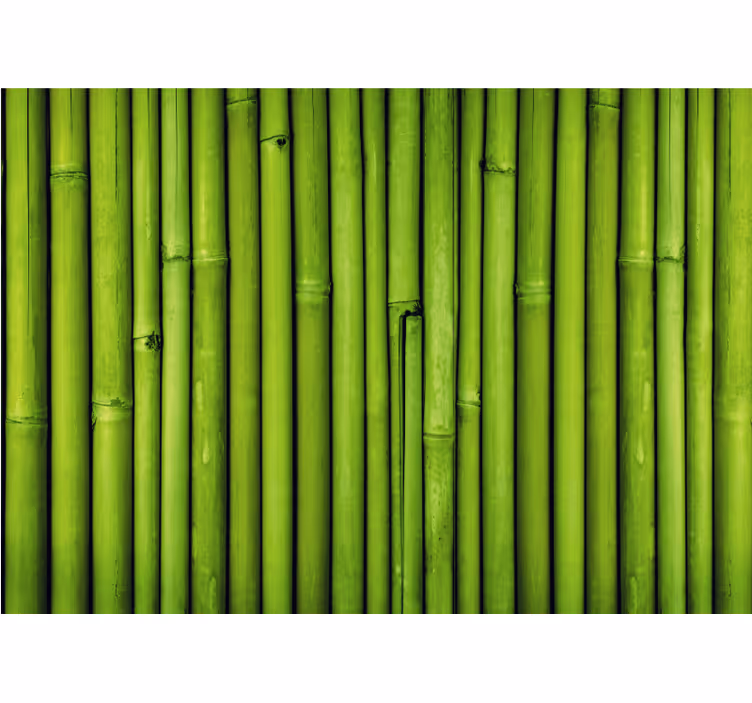 Wall mural bamboo green bamboo stalks - TenStickers
