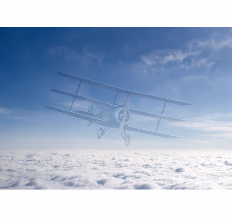 Vintage Airplane Flight automotive wall murals - TenStickers