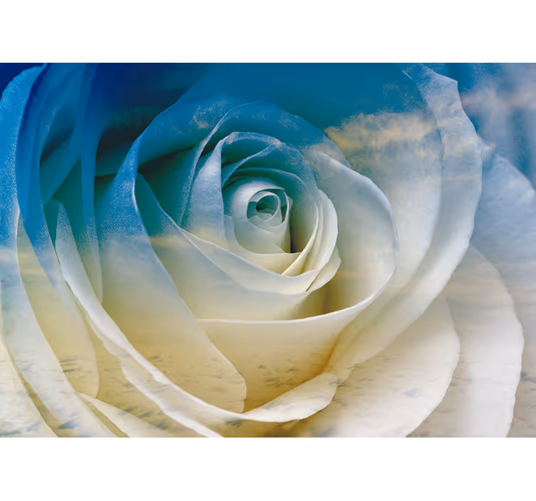 Flowers wall mural rose blossom elegance - TenStickers