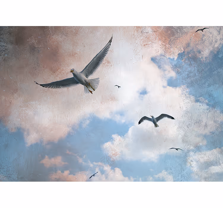 Seagulls in Flight wall mural animals - TenStickers