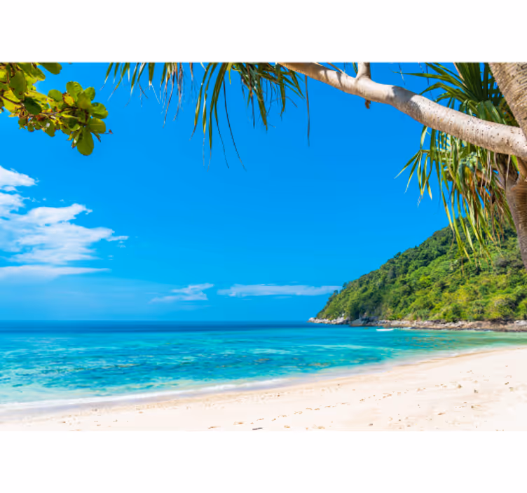 Tropical Coastal Landscape sea wall mural - TenStickers