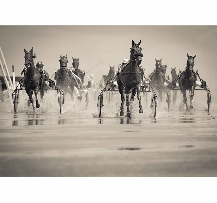Horses Racing Together wall mural animals - TenStickers