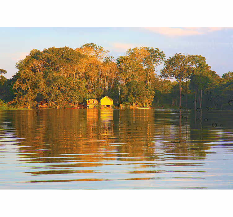 Amazonian house nature wall mural - TenStickers