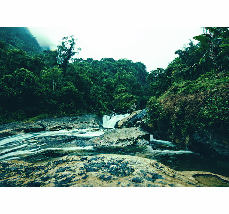 Serene Green Scene waterfall wall mural - TenStickers