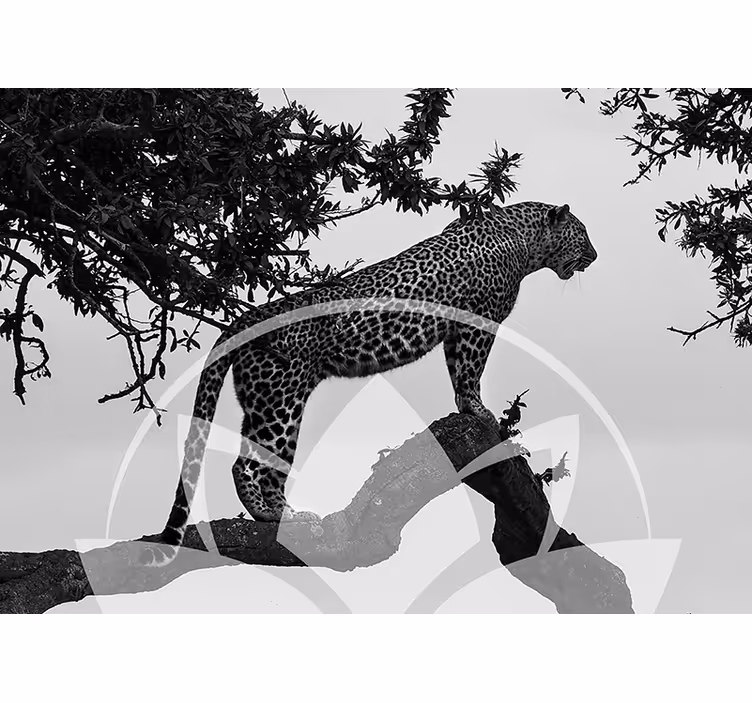 Leopard in Tree wall mural animals - TenStickers