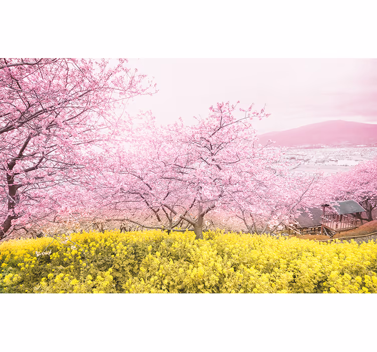 Cherry Blossom Tranquility flowers wall mural - TenStickers