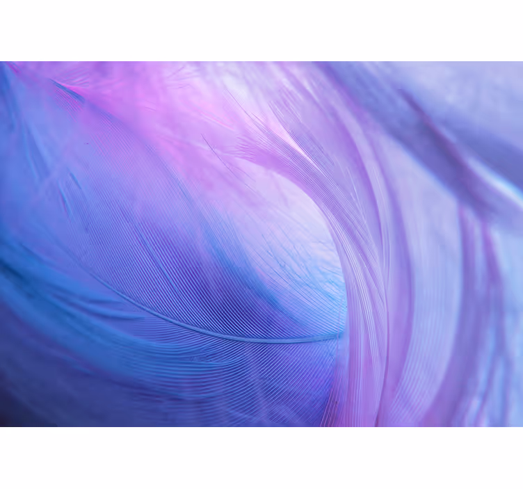 Soft colour waves abstract mural wallpaper - TenStickers