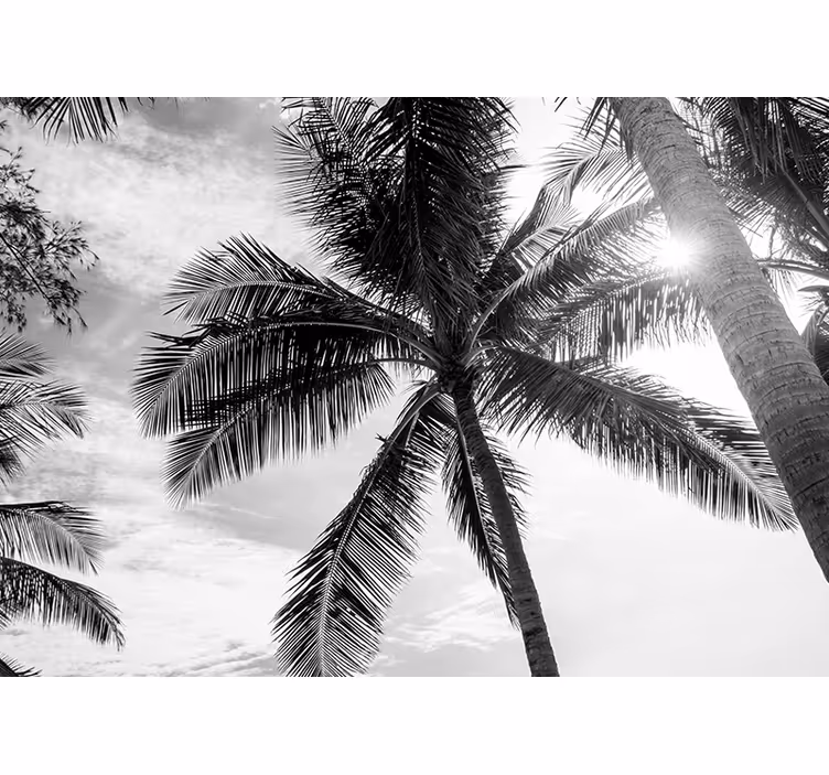 Tropical palm scene sea wall mural - TenStickers