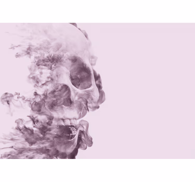 Smoky Skull Silhouette wall mural animals - TenStickers
