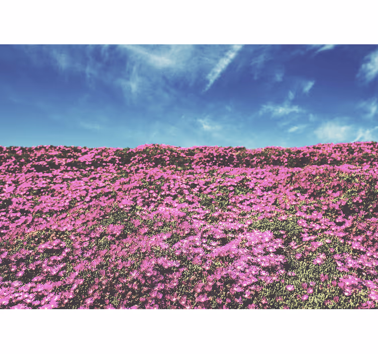 Vibrant Pink Blossoms flowers wall mural - TenStickers