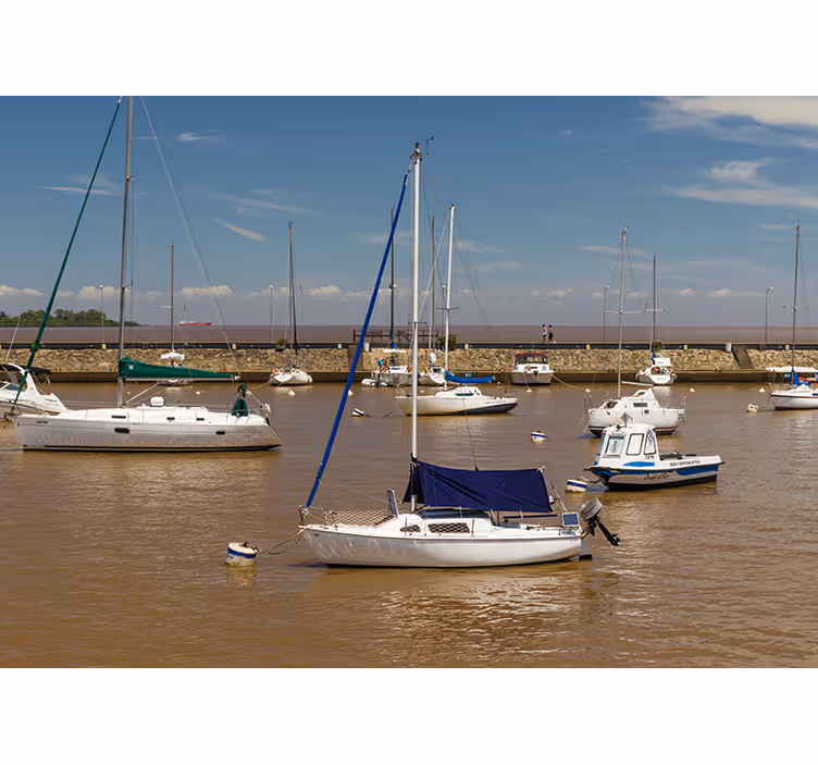 Sailboats in Harbor sea wall mural - TenStickers