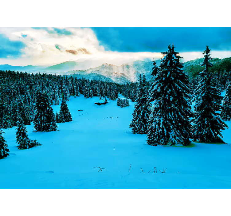 Snowy Pine Forest landscape wall mural - TenStickers