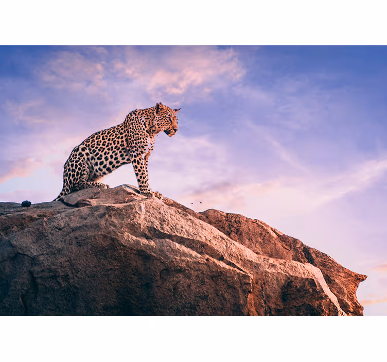 Leopard on Rock wall mural animals - TenStickers