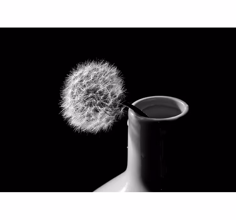 Dandelion wall mural dandelion in vase - TenStickers