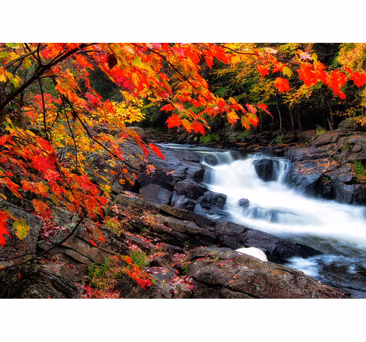 Forest wall mural autumn waterfall scene - TenStickers