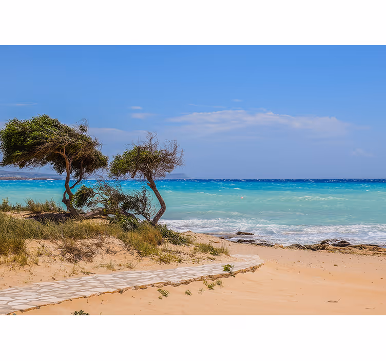 Serene scene path sea wall mural - TenStickers
