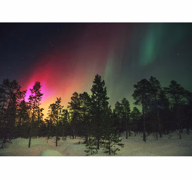 Aurora Borealis Display nature wall mural - TenStickers