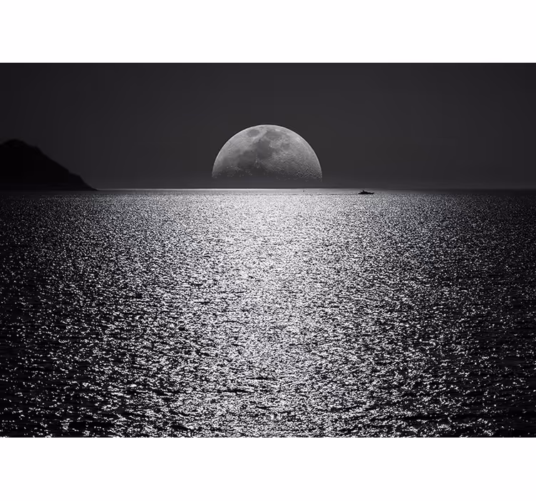 Moonlit view sea wall mural - TenStickers