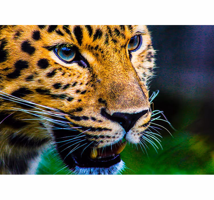 Leopard Close-Up wall mural animals - TenStickers