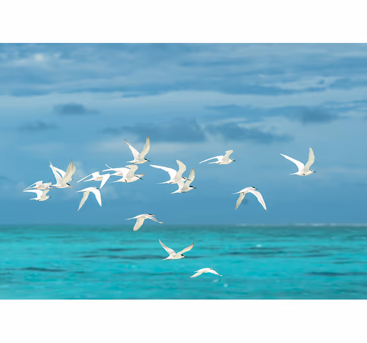 Nature wall mural of soaring birds scene - TenStickers
