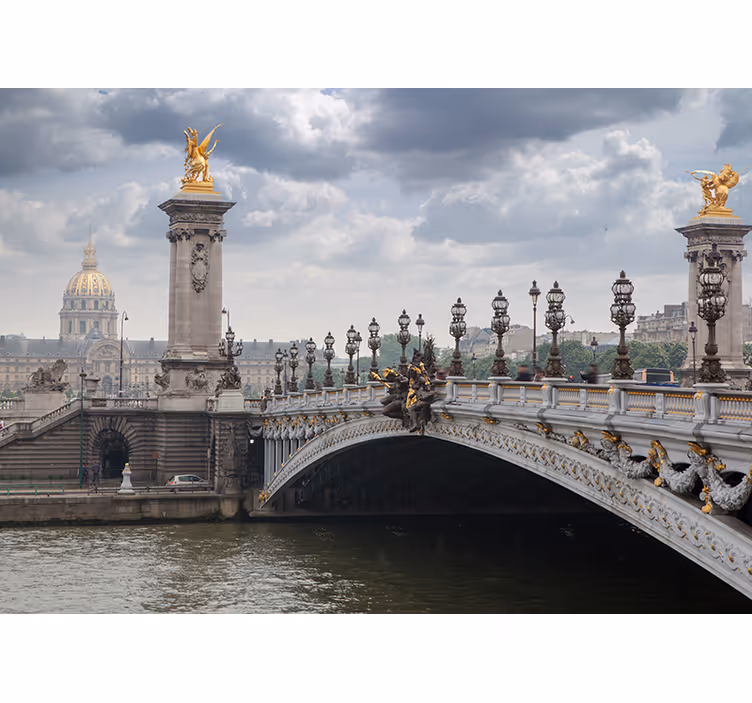 Pont Alexandre III View wall mural city - TenStickers