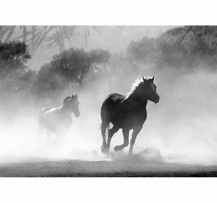 Two Running Horses wall mural animals - TenStickers