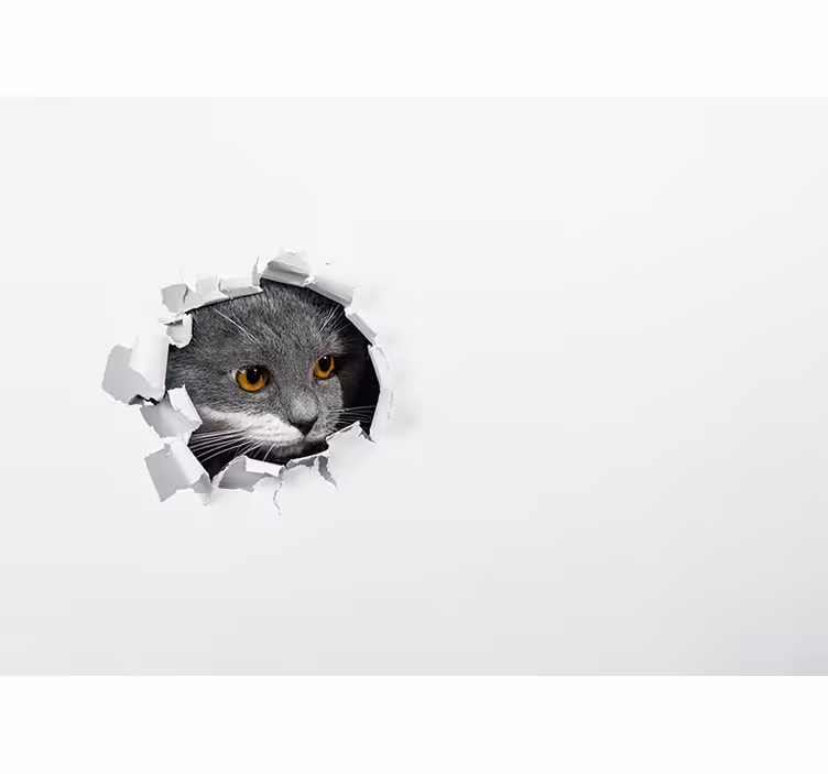 Cute cat  photo wall mural - TenStickers