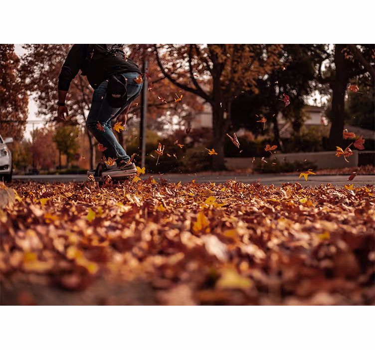 Autumn leaves stkater other wall mural city - TenStickers