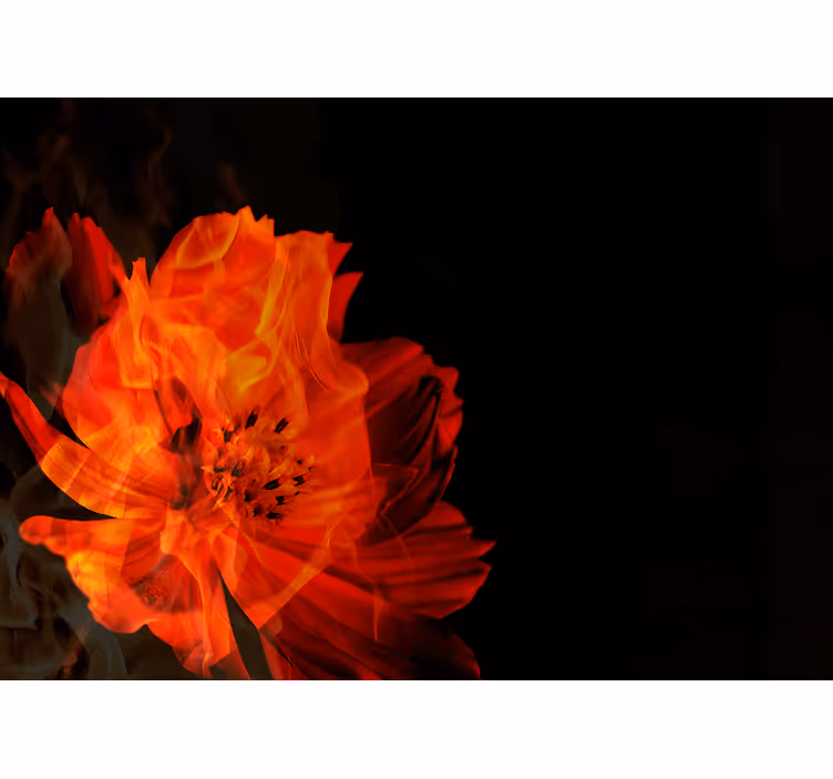 Fiery floral burst other flowers wall mural - TenStickers