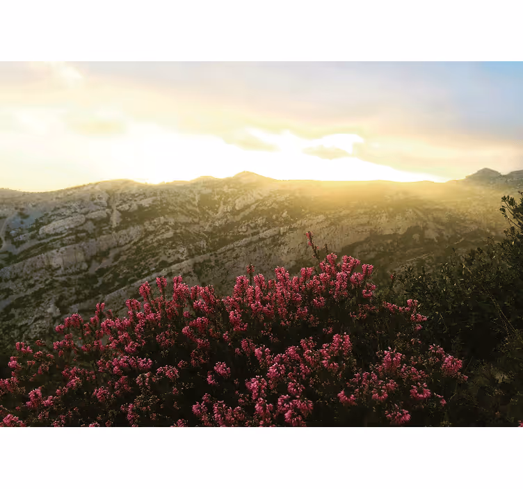 Nature wall mural blooming pink flora - TenStickers
