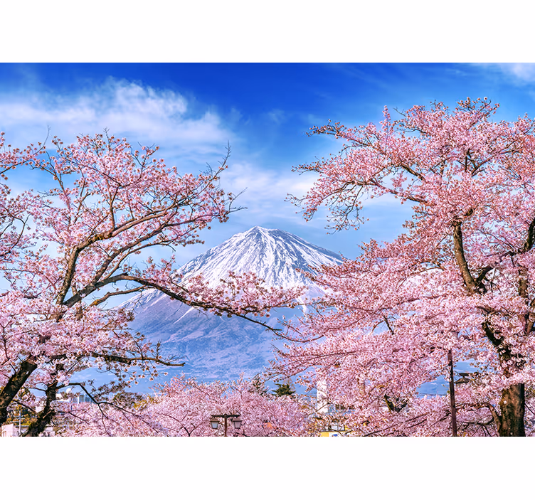 Nature wall mural cherry blossom landscape - TenStickers