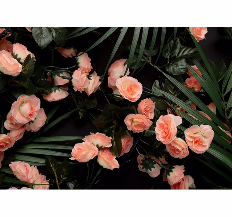 Flowers wall mural soft pink roses - TenStickers