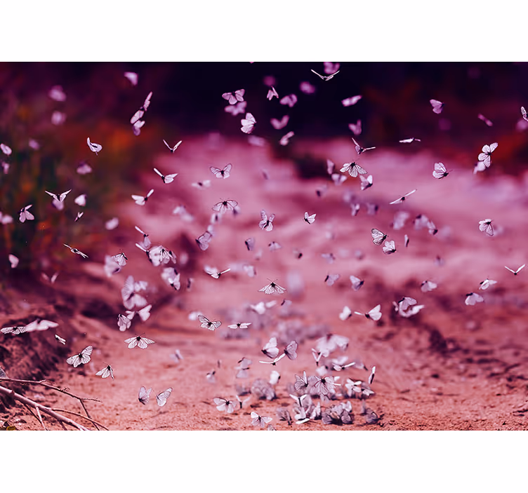 Delicate Butterfly Dance flowers wall mural - TenStickers