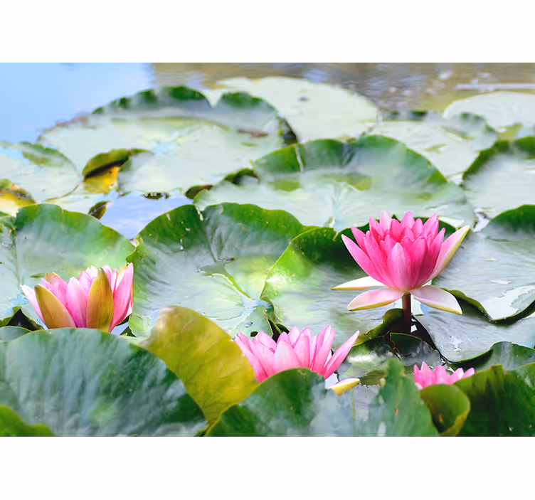 Lush Pink Lilies flowers wall mural - TenStickers