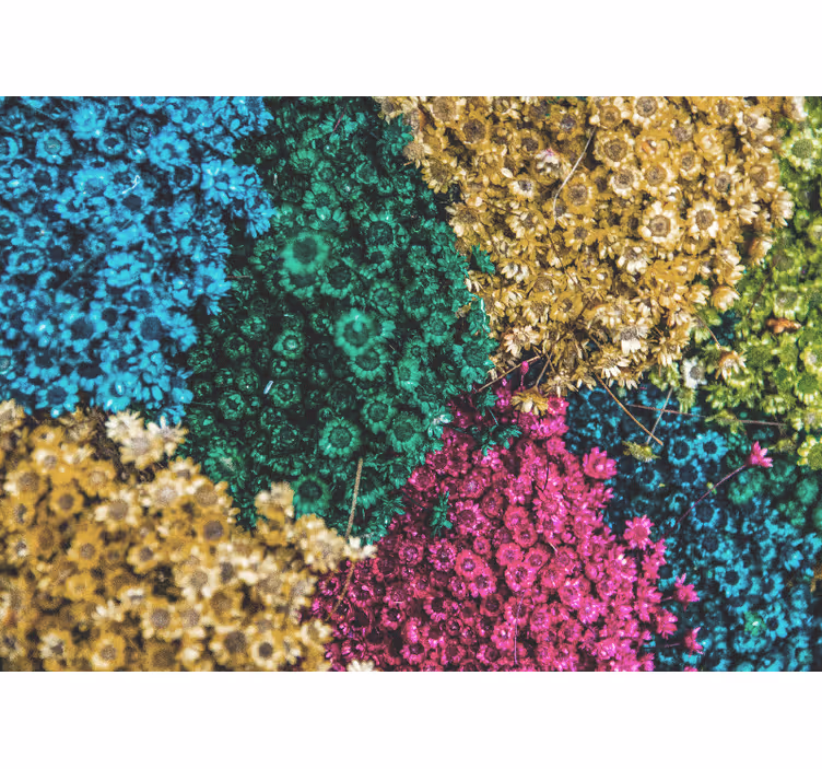 Flowers wall mural in vibrant floral designs - TenStickers