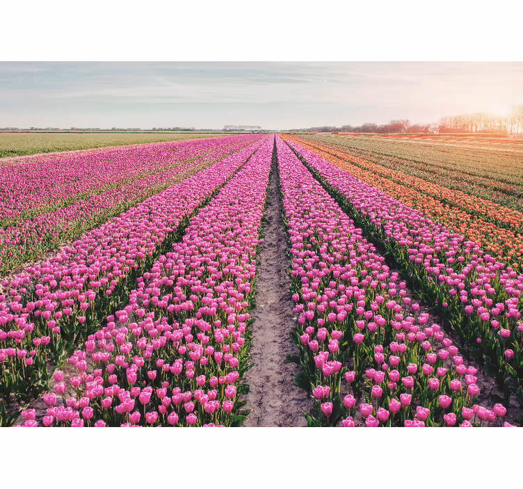 Flowers wall mural tulip meadow landscape - TenStickers