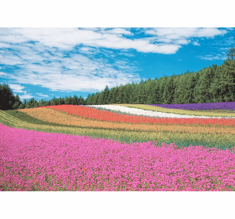 Flowers wall mural vibrant floral landscape - TenStickers