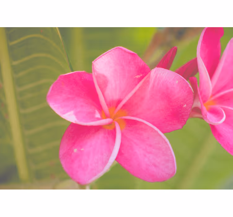 Flowers wall mural pink floral design - TenStickers