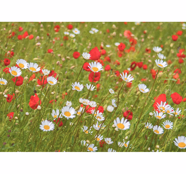 Vibrant flower field flowers wall mural - TenStickers