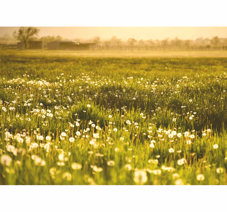 Flowers wall mural dandelion meadow scene - TenStickers