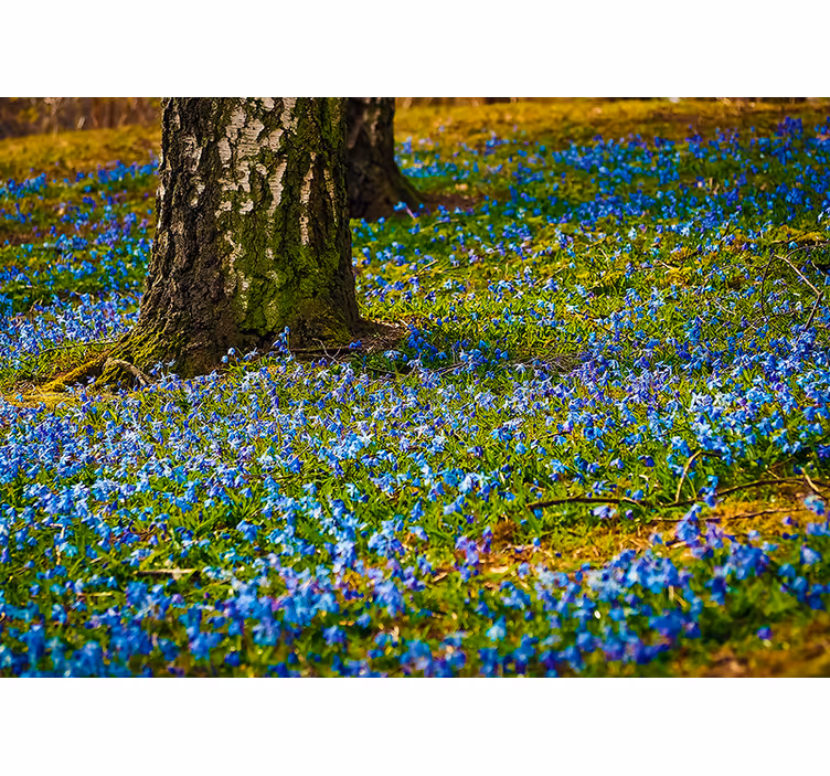 Flowers wall mural bluebell meadow scene - TenStickers