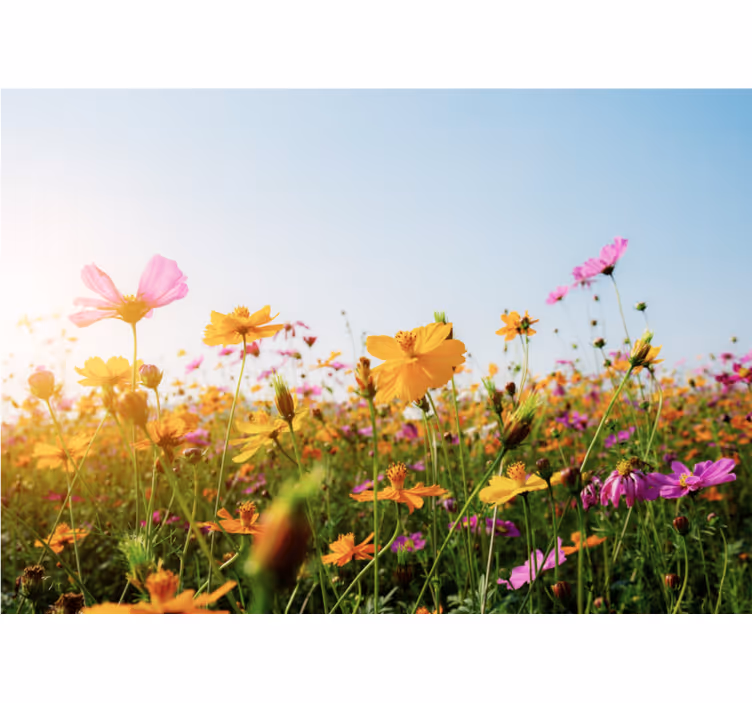 Flowers wall mural colorful blooming flora - TenStickers