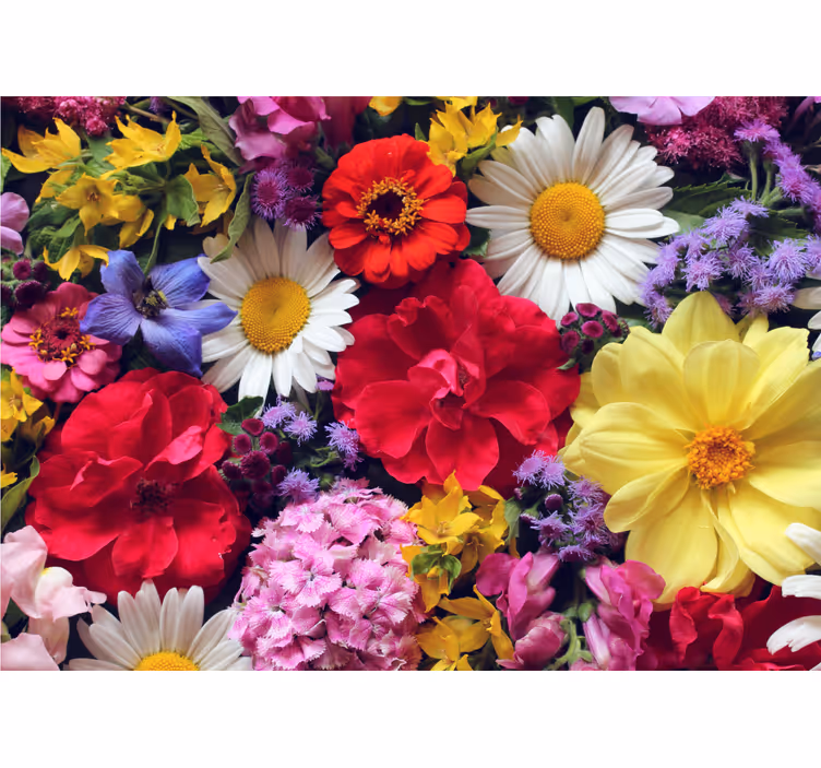Flowers wall mural vibrant bloom arrangement - TenStickers