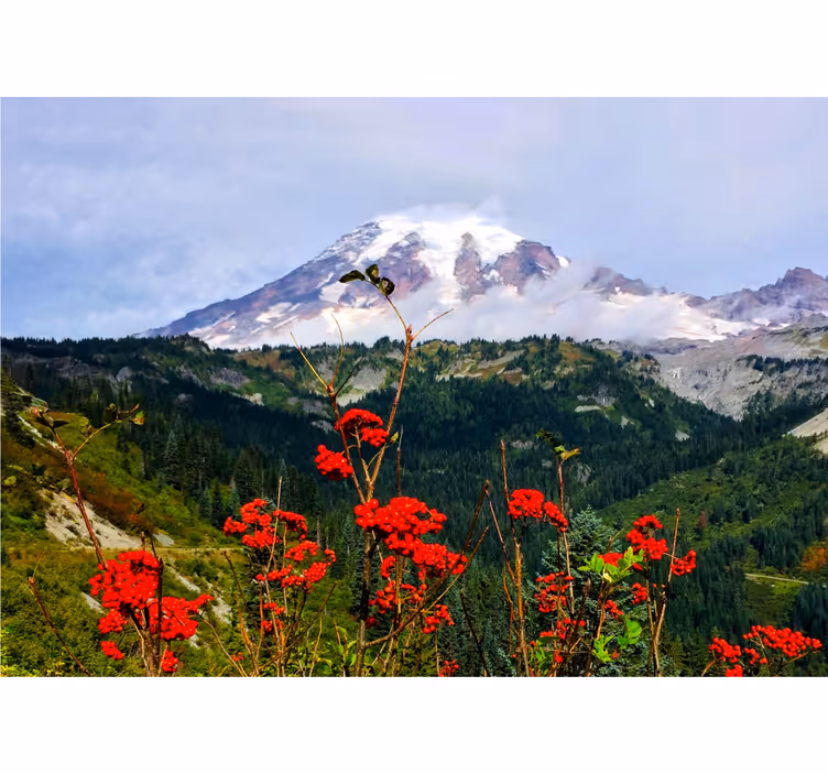 Landscape wall mural snow-capped mountain scene - TenStickers