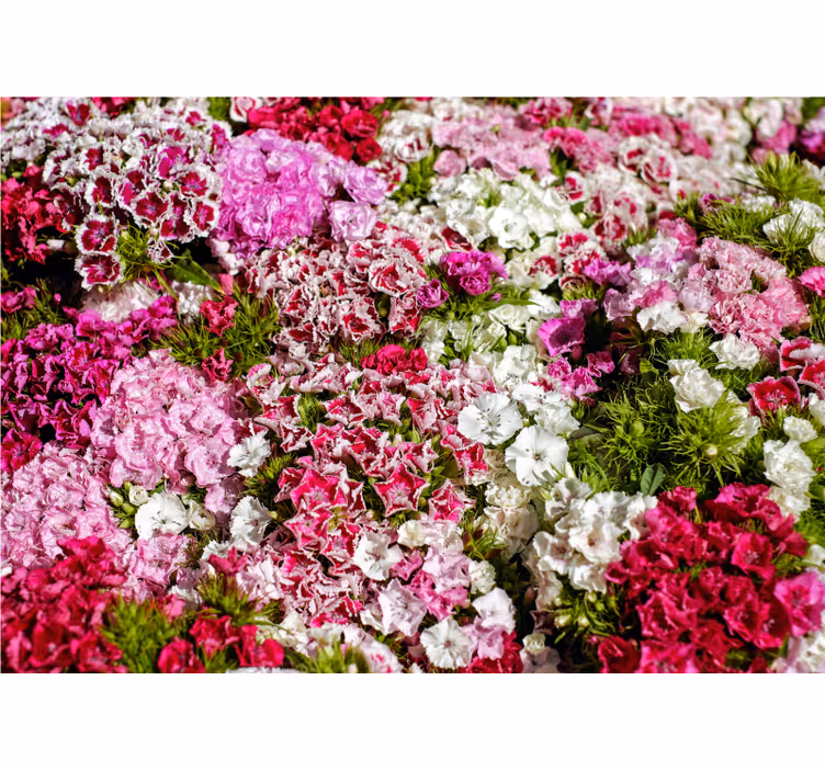 Flowers wall mural vibrant floral garden - TenStickers