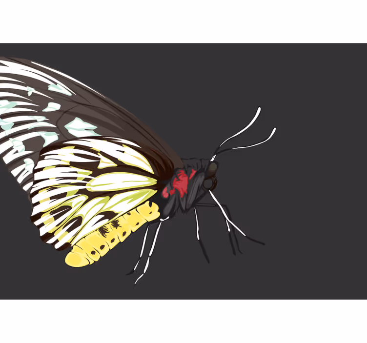 Yellow Butterfly Design flowers wall mural - TenStickers